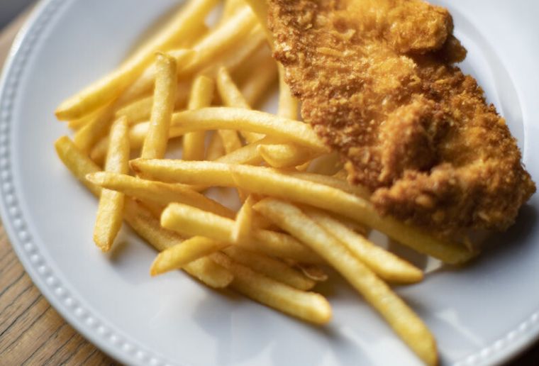 Fried chicken breast-stripes with french fries