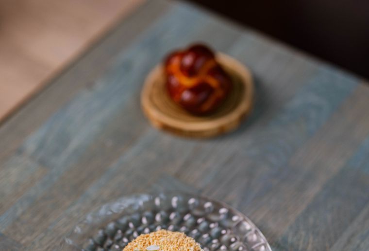 Duck liver terrine